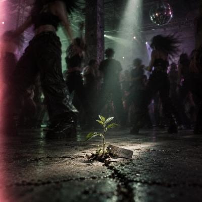 Organic Reach Dreams cover art